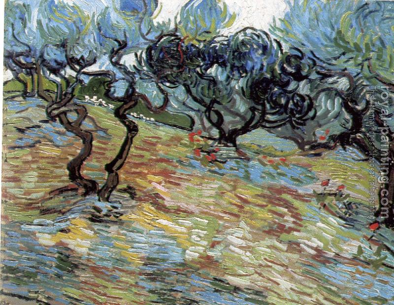 Vincent Van Gogh : Olive Orchard III